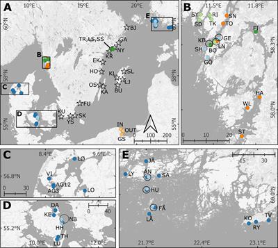 Small carbon stocks in sediments of Baltic Sea eelgrass meadows